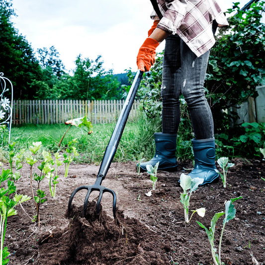 Black Forest 4-Tine Mulching Hoe