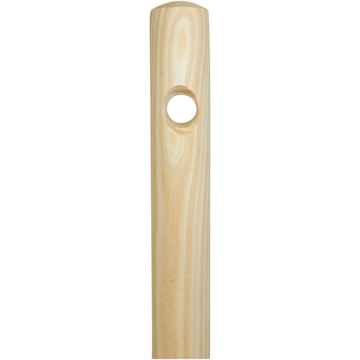 Children's Push Broom