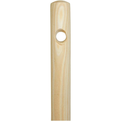 Children's Push Broom