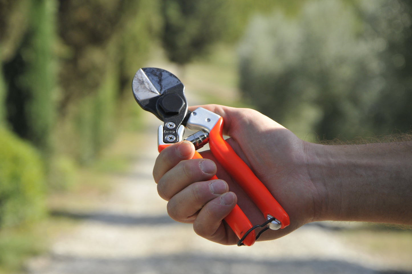 Castellari B12 double-blade pruning shears