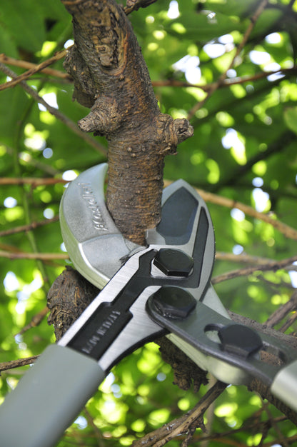 Castellari TUCANO C 80 Anvil Loppers